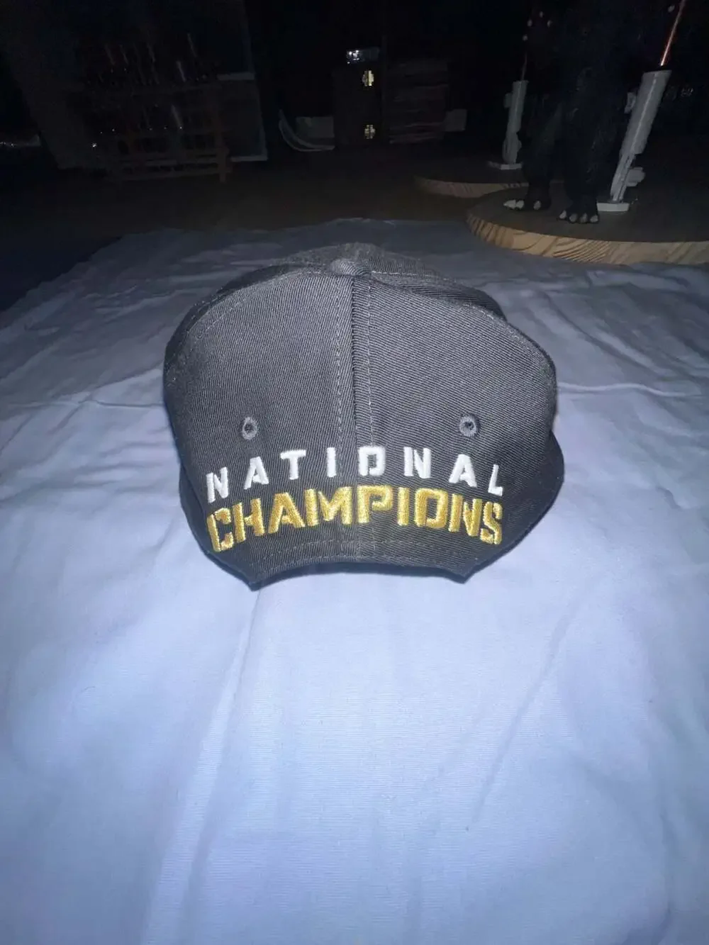Nike Georgia Bulldogs 2022 National Champions Locker Room Adjustable Hat